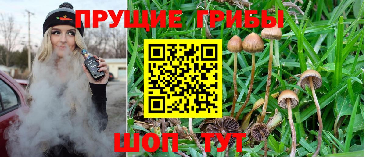 Галлюциногенные грибы прущие грибы  Вход с VPN  Галлюциногенные грибы мицелий  дарнет шоп  Фурманов 